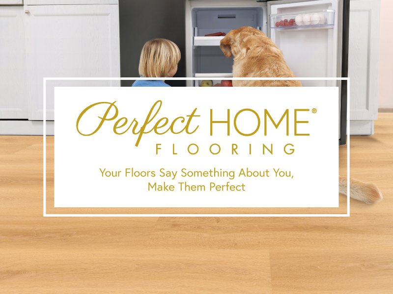 Perfect home carpet at COLORTILE CarpetsPlus in Port Charlotte, FL