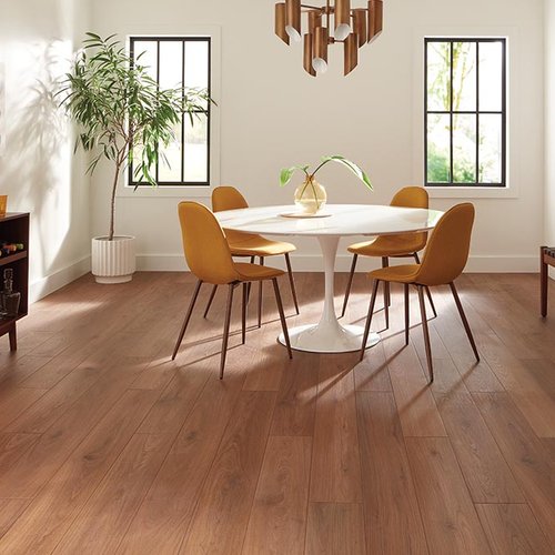 Dining Room Luxury Vinyl Plank LVP -  COLORTILE CarpetsPlus in Port Charlotte, FL